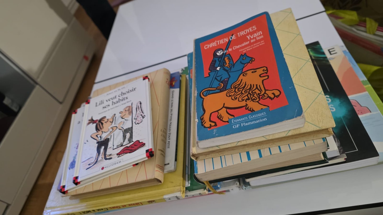 Lire c'est voyager sans bouger